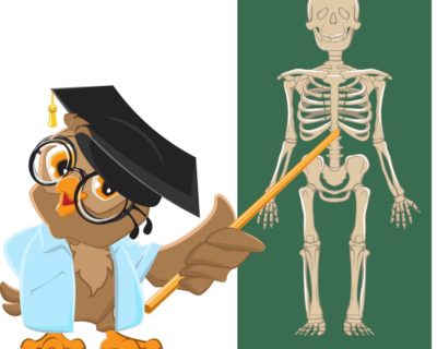 Преподавание биологии в общеобразовательных организациях
